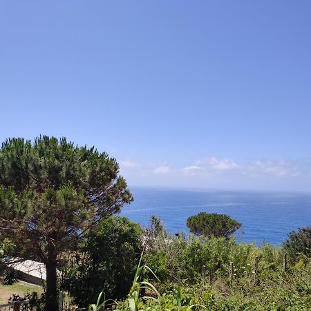 Casa De Somma Leilighet Forio di Ischia Eksteriør bilde