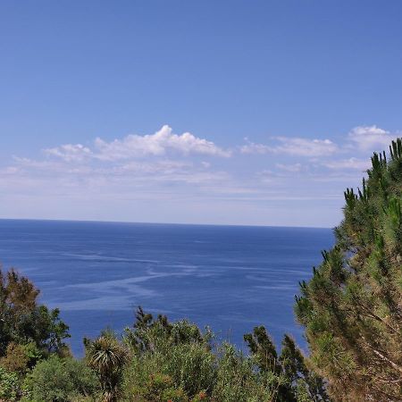 Casa De Somma Leilighet Forio di Ischia Eksteriør bilde