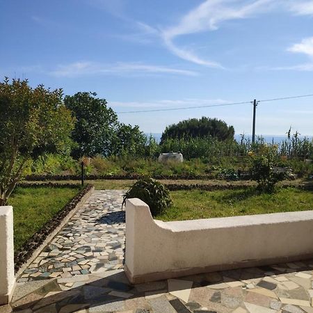 Casa De Somma Leilighet Forio di Ischia Eksteriør bilde