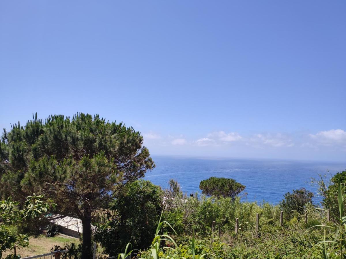 Casa De Somma Leilighet Forio di Ischia Eksteriør bilde