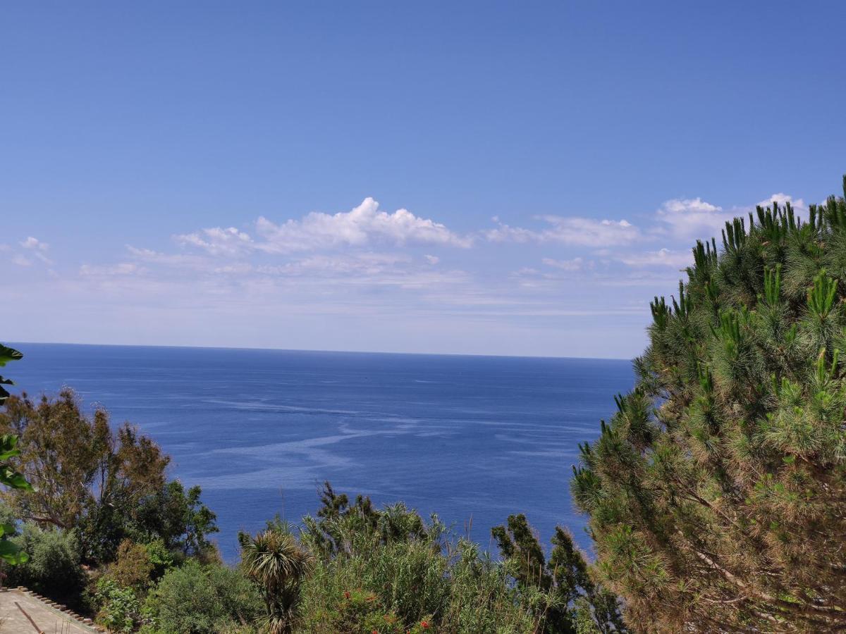 Casa De Somma Leilighet Forio di Ischia Eksteriør bilde